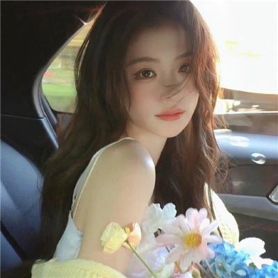 我与艺妓 在线观看封面