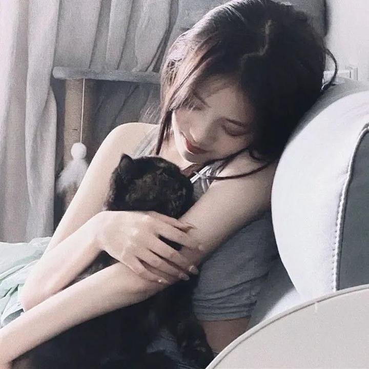 荒唐上校 在线观看封面