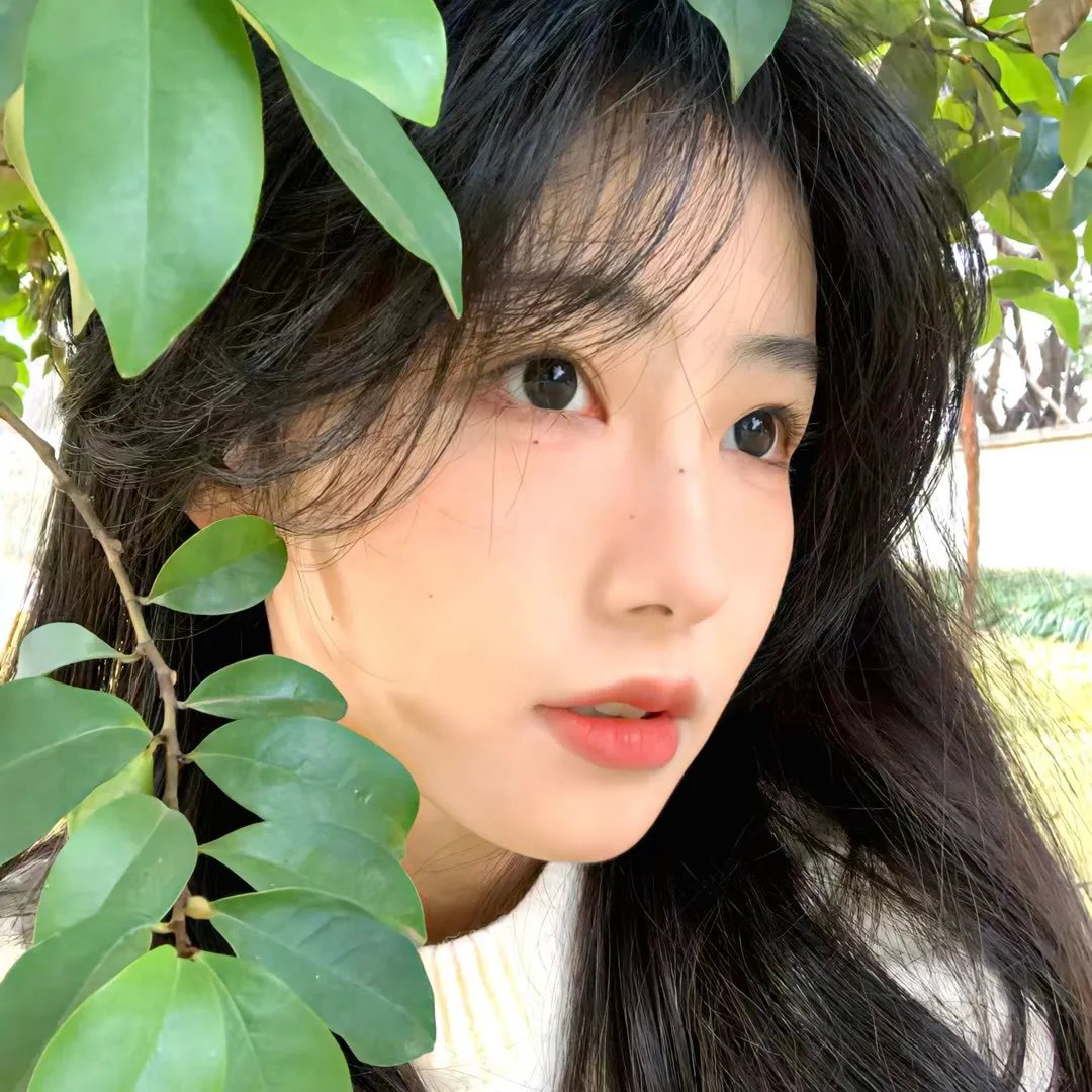 山外青山楼 在线观看封面